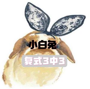 198期小白兔复式三中三-澳门国际